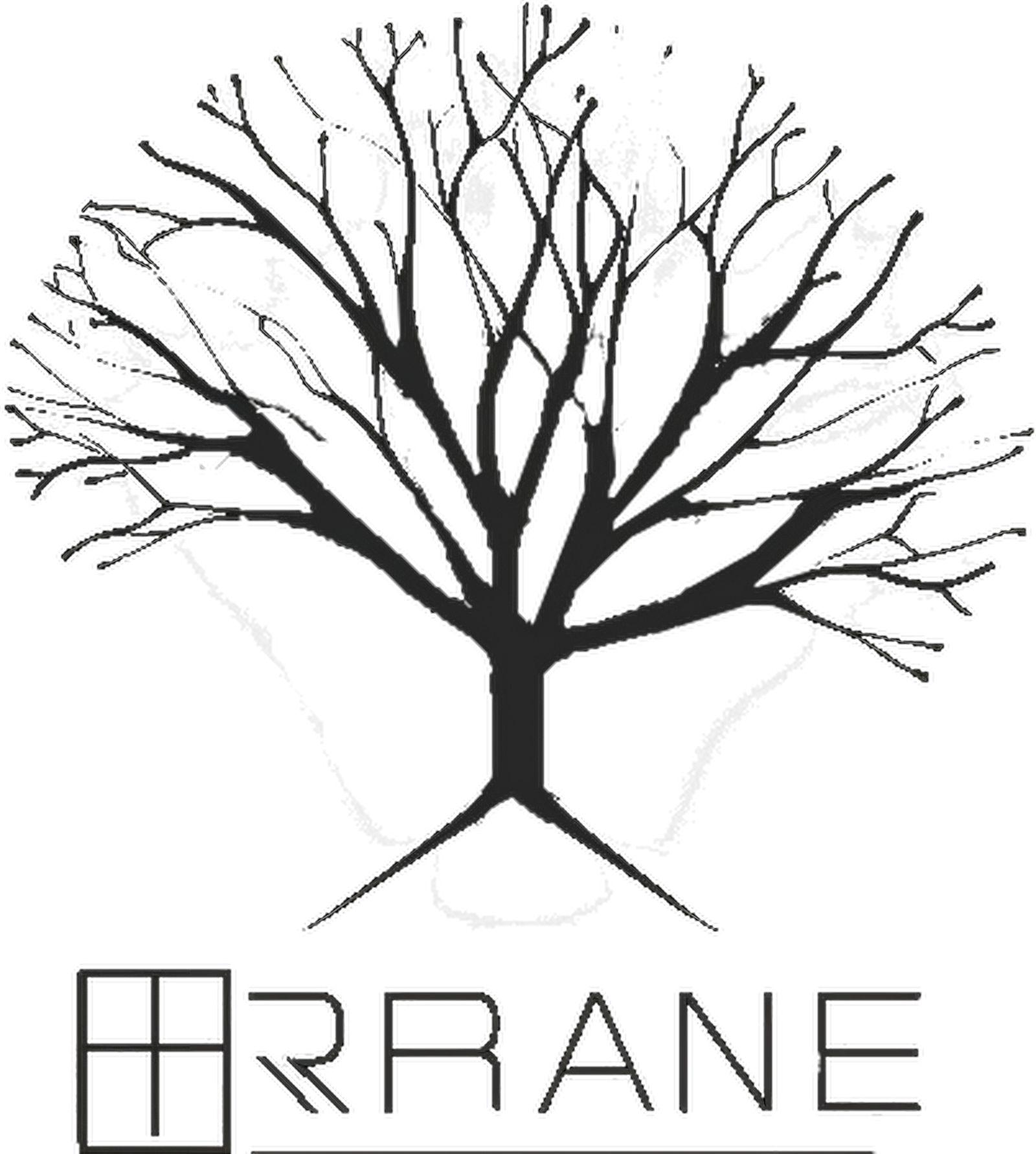 Brane Technologies